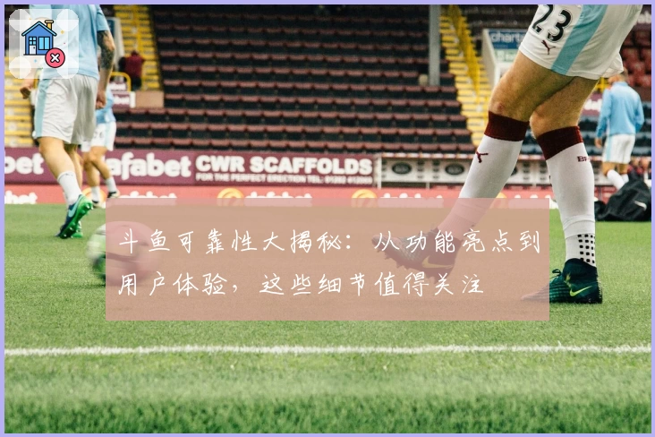 斗鱼可靠性大揭秘:从功能亮点到用户体验,这些细节值得关注