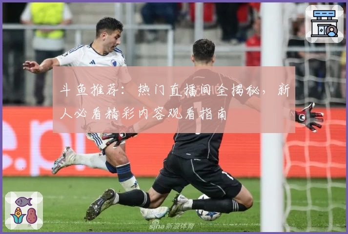 斗鱼推荐：热门直播间全揭秘，新人必看精彩内容观看指南