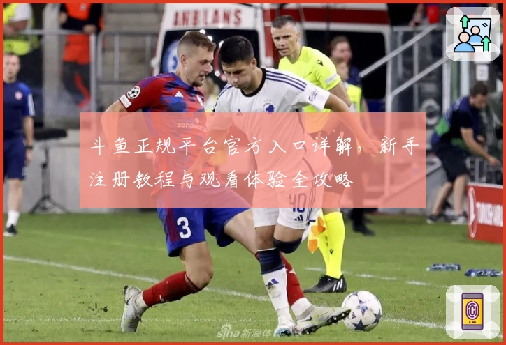 斗鱼正规平台官方入口详解,新手注册教程与观看体验全攻略