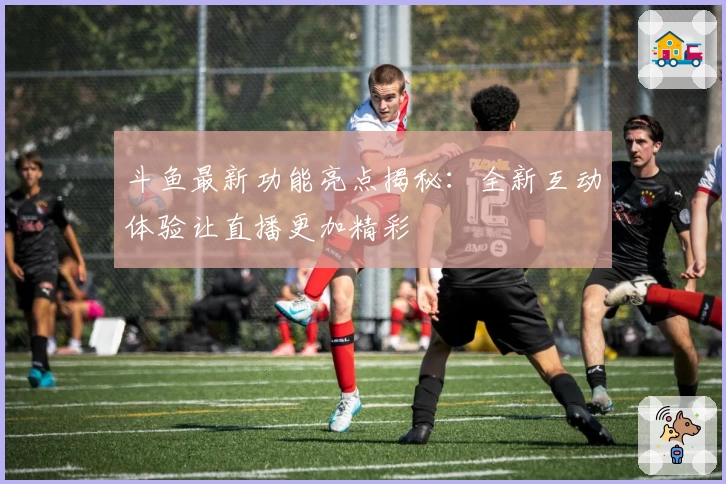 斗鱼最新功能亮点揭秘:全新互动体验让直播更加精彩
