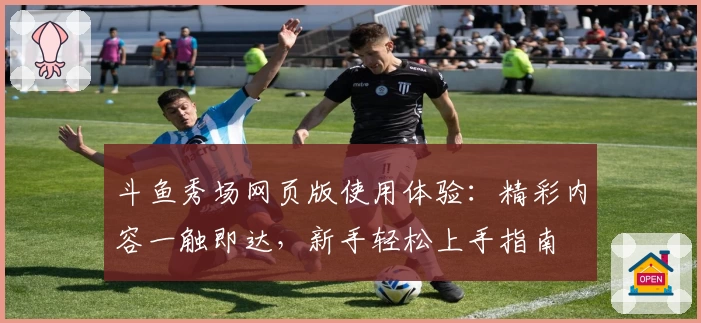 斗鱼秀场网页版使用体验：精彩内容一触即达，新手轻松上手指南