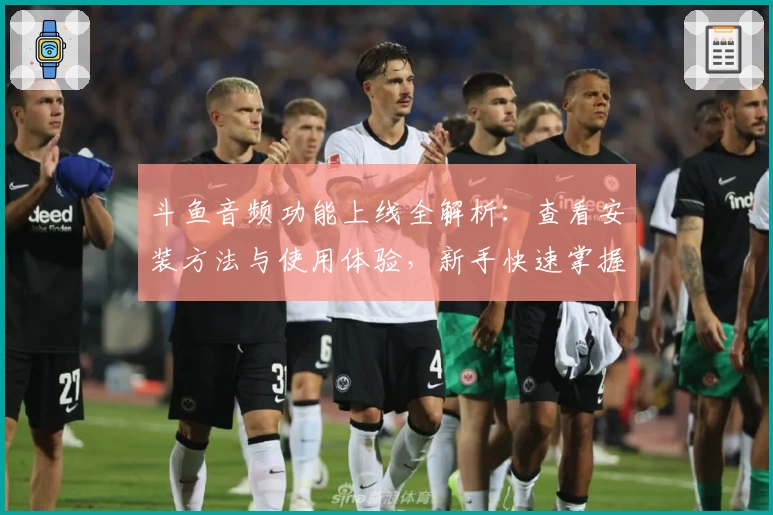 斗鱼音频功能上线全解析:查看安装方法与使用体验,新手快速掌握教程