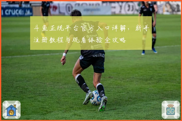 斗鱼正规平台官方入口详解，新手注册教程与观看体验全攻略